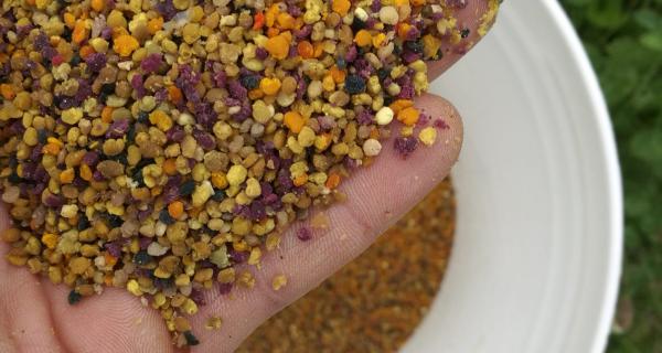 Apicoltura Fossati | Sambuco (CN)