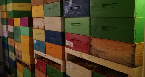 Apicoltura Fossati | Sambuco (CN)