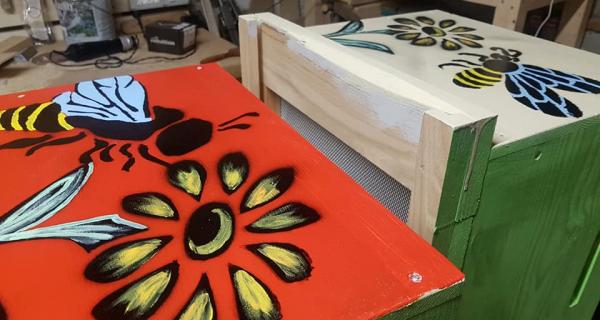 Apicoltura Fossati | Sambuco (CN)