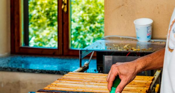 Apicoltura Fossati | Sambuco (CN)